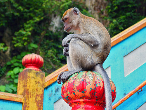 Batu Caves